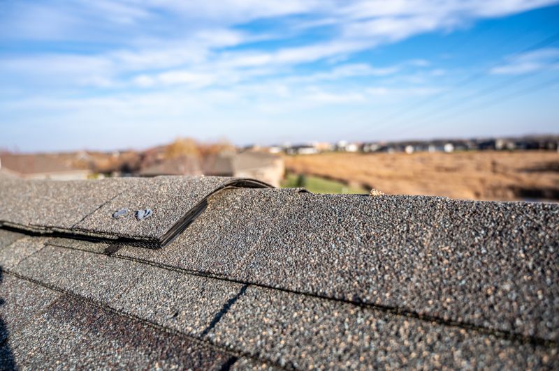 Common Signs You Need Asphalt Shingle Roof Repair